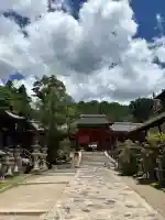 春日大社(奈良県)