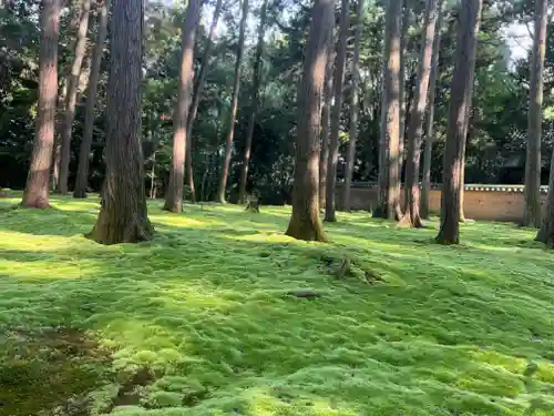 唐招提寺の自然