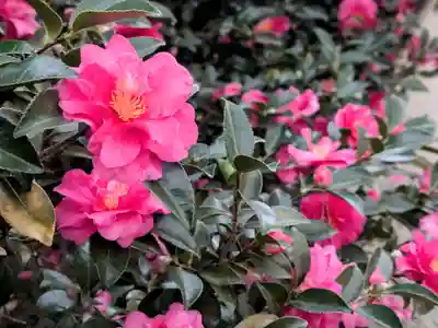 三津厳島神社(愛媛県)