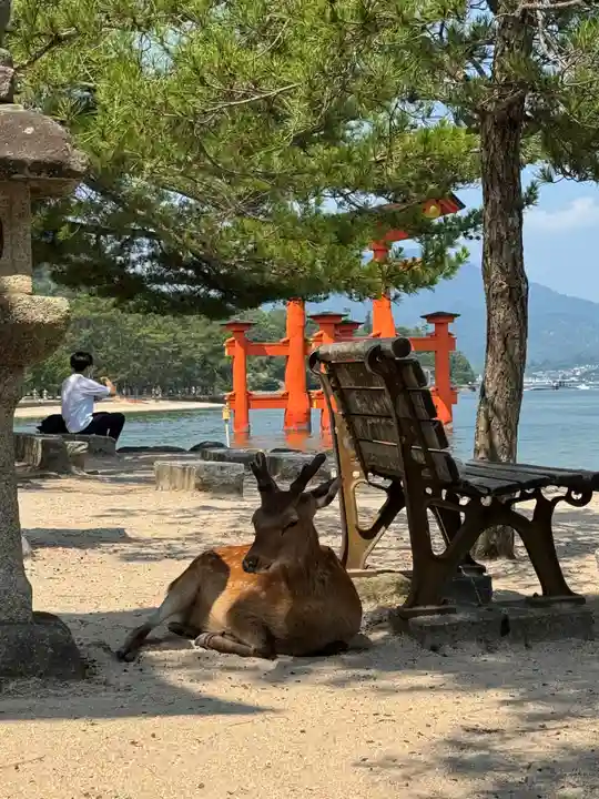 厳島神社(広島県)