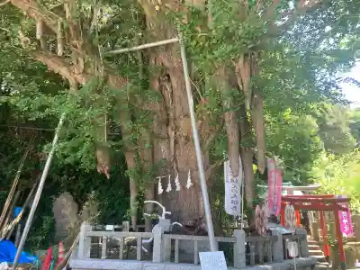 海南神社(神奈川県)