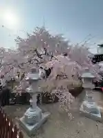 観音神社の{uncategorized: "未分類", other: "その他", undefined: "問題あり", building: "その他建物", grave: "お墓", sacred_gate: "鳥居", guardian: "狛犬", statue: "像", buddha: "仏像", history: "歴史", nature: "自然", garden: "庭園", animal: "動物", pagoda: "塔", temizu: "手水舎", mountain_gate: "山門・神門", sanctuary: "本殿・本堂", subordinate: "末社・摂社", art: "芸術", scenery: "景色", jizo: "地蔵", ema: "絵馬", goshuin: "御朱印", omikuji: "おみくじ", items: "授与品その他", amulet: "お守り", goshuincho: "御朱印帳", eats: "食事", festival: "お祭り", votive_dance: "神楽", shichigosan: "七五三参", wedding: "結婚式", experience: "体験その他", initially: "初詣", around: "周辺", anti_infection: "感染症対策"}