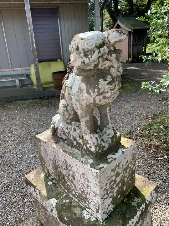 船塚神社の狛犬