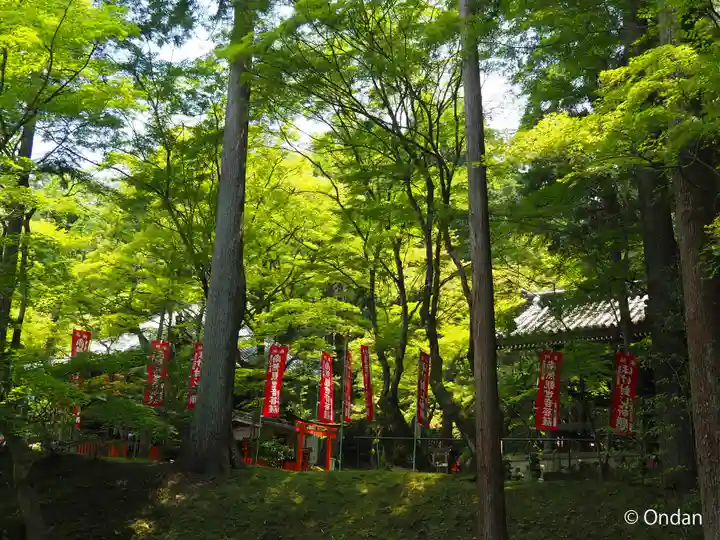 今熊野観音寺(京都府)