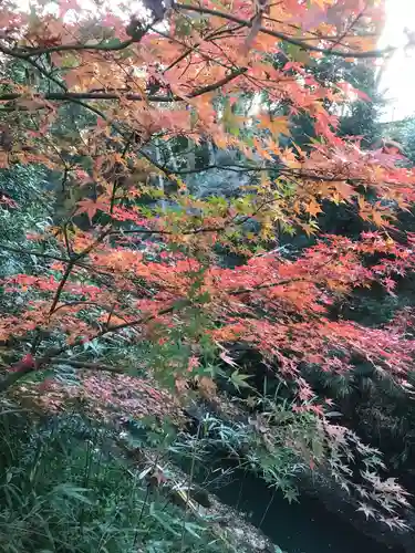 明王院（満願寺別院）の自然