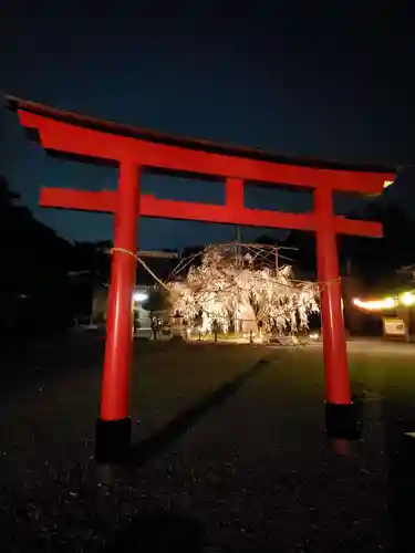 八幡社の鳥居