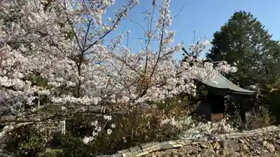 吉備津岡辛木神社(岡山県)