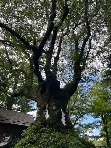 熊野皇大神社(長野県)