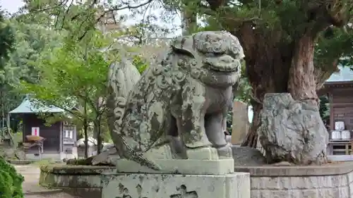 鶴谷八幡宮の狛犬