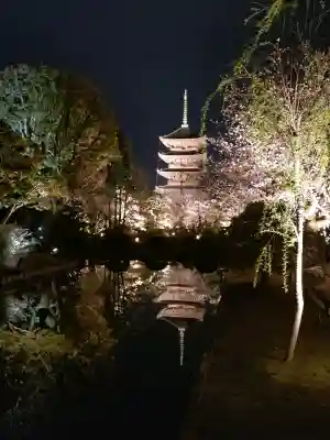 東寺（教王護国寺）の{uncategorized: "未分類", other: "その他", undefined: "問題あり", building: "その他建物", grave: "お墓", sacred_gate: "鳥居", guardian: "狛犬", statue: "像", buddha: "仏像", history: "歴史", nature: "自然", garden: "庭園", animal: "動物", pagoda: "塔", temizu: "手水舎", mountain_gate: "山門・神門", sanctuary: "本殿・本堂", subordinate: "末社・摂社", art: "芸術", scenery: "景色", jizo: "地蔵", ema: "絵馬", goshuin: "御朱印", omikuji: "おみくじ", items: "授与品その他", amulet: "お守り", goshuincho: "御朱印帳", eats: "食事", festival: "お祭り", votive_dance: "神楽", shichigosan: "七五三参", wedding: "結婚式", experience: "体験その他", initially: "初詣", around: "周辺", anti_infection: "感染症対策"}