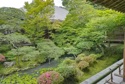 禅林寺(永観堂)(京都府)