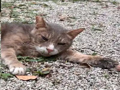 當麻山口神社(奈良県)