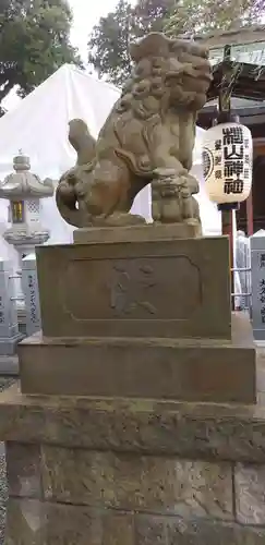 星川杉山神社の狛犬