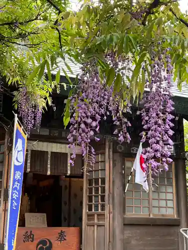 國領神社の自然