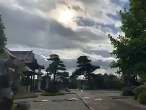 法源寺の庭園(2019年07月27日(土) 09時03分42秒投稿)