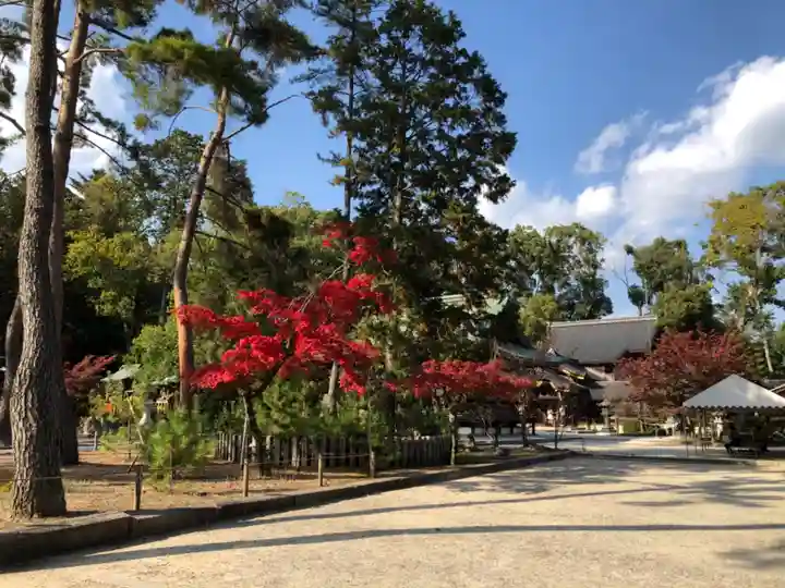 今宮神社の庭園