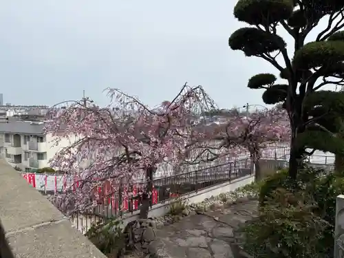 不動寺(大阪府)