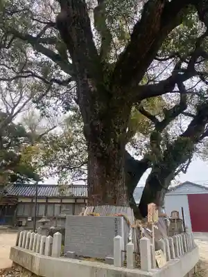 船守神社(大阪府)