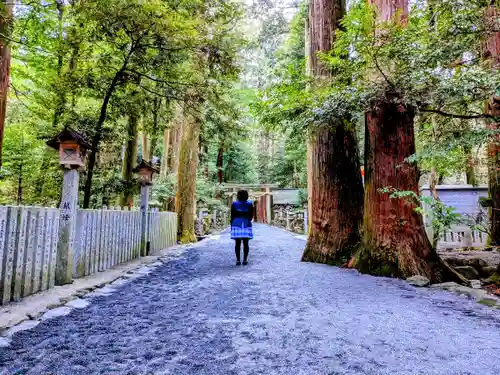 椿大神社の自然