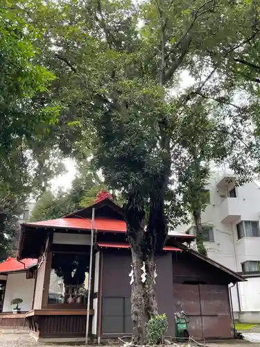 弦巻神社の自然