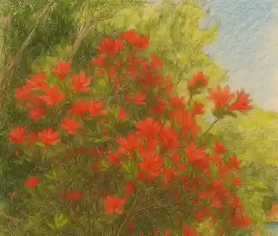 木舟山　順教寺(広島県)