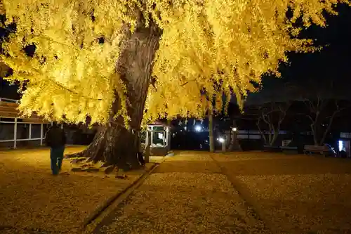 丹生酒殿神社の自然