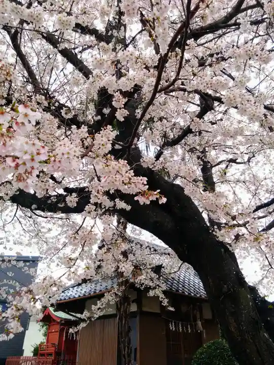 女帝神社(埼玉県)