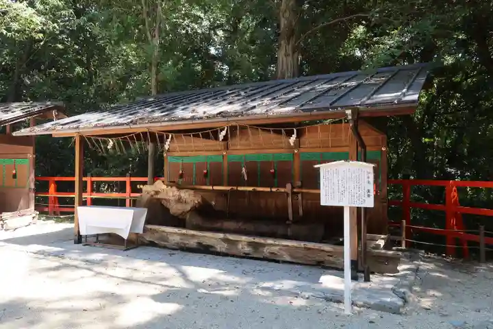 賀茂御祖神社(下鴨神社)(京都府)