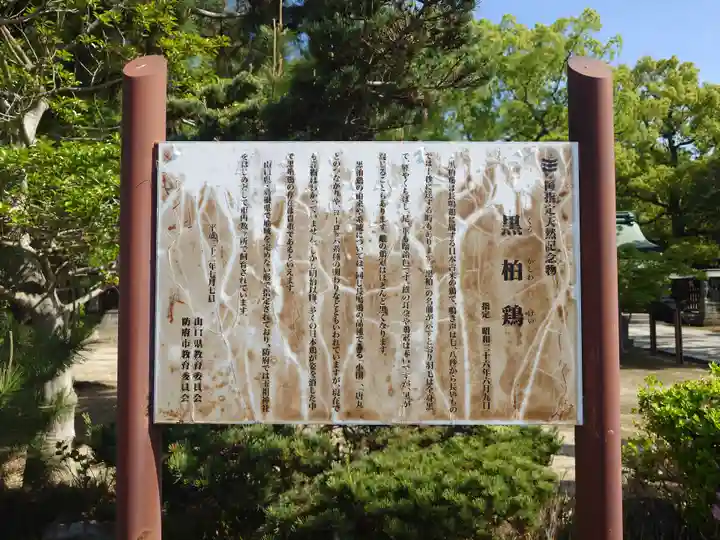 玉祖神社(山口県)