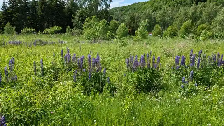 千栄神社(北海道)