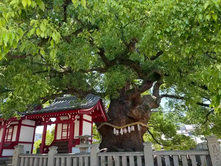 善通寺の{uncategorized: "未分類", other: "その他", undefined: "問題あり", building: "その他建物", grave: "お墓", sacred_gate: "鳥居", guardian: "狛犬", statue: "像", buddha: "仏像", history: "歴史", nature: "自然", garden: "庭園", animal: "動物", pagoda: "塔", temizu: "手水舎", mountain_gate: "山門・神門", sanctuary: "本殿・本堂", subordinate: "末社・摂社", art: "芸術", scenery: "景色", jizo: "地蔵", ema: "絵馬", goshuin: "御朱印", omikuji: "おみくじ", items: "授与品その他", amulet: "お守り", goshuincho: "御朱印帳", eats: "食事", festival: "お祭り", votive_dance: "神楽", shichigosan: "七五三参", wedding: "結婚式", experience: "体験その他", initially: "初詣", around: "周辺", anti_infection: "感染症対策"}