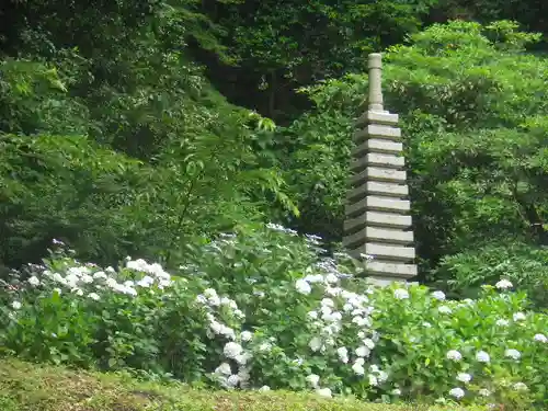 安國論寺（安国論寺）の塔