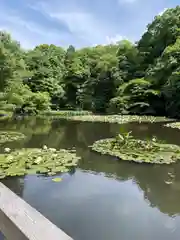 明治神宮(東京都)