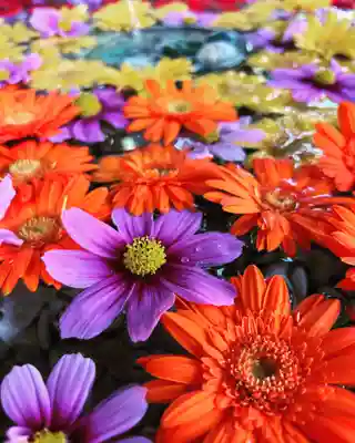 札幌諏訪神社の手水舎