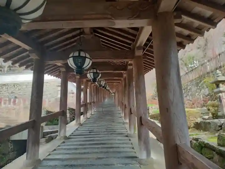 長谷寺(奈良県)