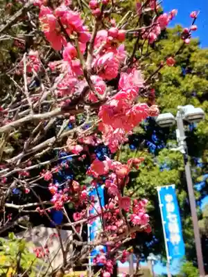 中野沼袋氷川神社(東京都)