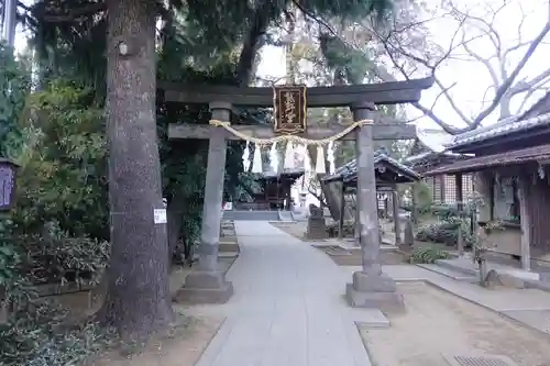前野熊野神社の鳥居