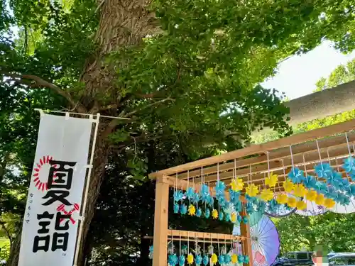 札幌諏訪神社の自然