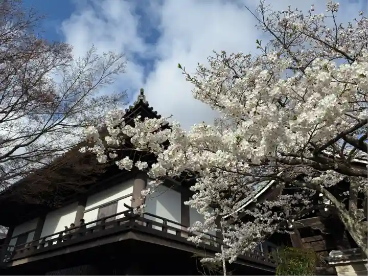 大雲院(京都府)