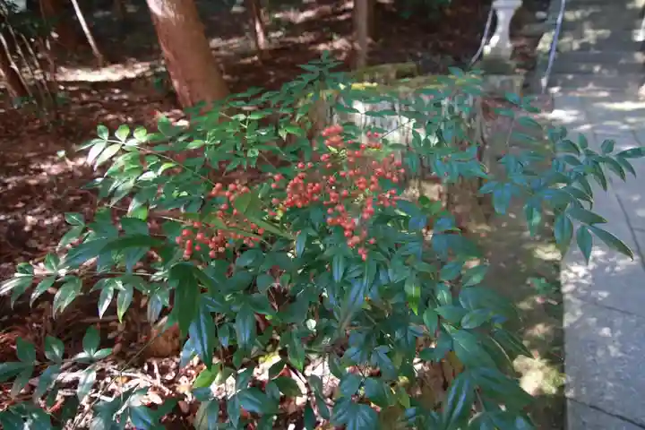 鹿島大神宮の自然