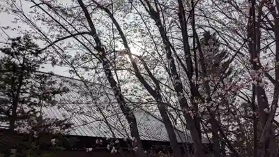 鷹栖神社の自然