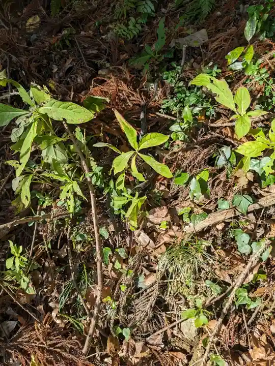 須我神社奥宮(島根県)