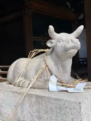京都ゑびす神社の狛犬