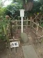 若宮八幡社 (埼玉県)