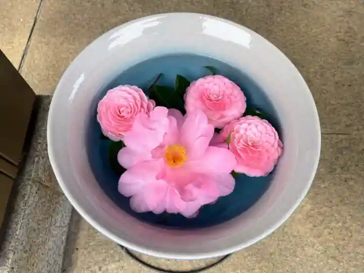 白金氷川神社の手水舎