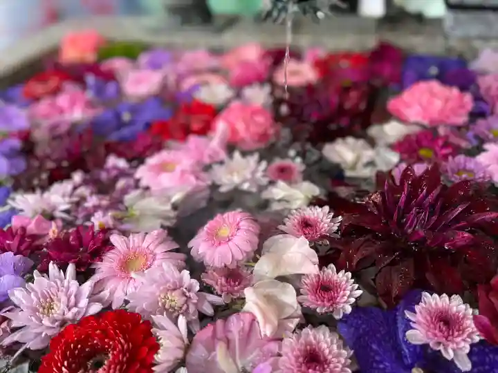 札幌諏訪神社の手水舎