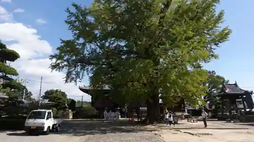 地蔵寺(徳島県)