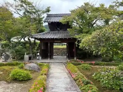 禅華院の{uncategorized: "未分類", other: "その他", undefined: "問題あり", building: "その他建物", grave: "お墓", sacred_gate: "鳥居", guardian: "狛犬", statue: "像", buddha: "仏像", history: "歴史", nature: "自然", garden: "庭園", animal: "動物", pagoda: "塔", temizu: "手水舎", mountain_gate: "山門・神門", sanctuary: "本殿・本堂", subordinate: "末社・摂社", art: "芸術", scenery: "景色", jizo: "地蔵", ema: "絵馬", goshuin: "御朱印", omikuji: "おみくじ", items: "授与品その他", amulet: "お守り", goshuincho: "御朱印帳", eats: "食事", festival: "お祭り", votive_dance: "神楽", shichigosan: "七五三参", wedding: "結婚式", experience: "体験その他", initially: "初詣", around: "周辺", anti_infection: "感染症対策"}