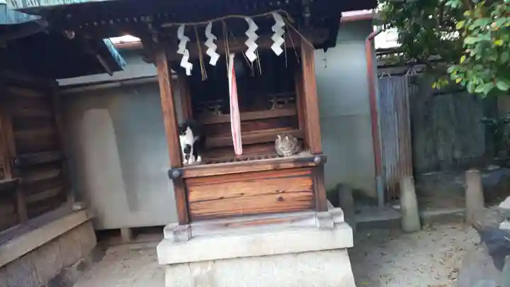 菅大臣神社の本殿・本堂