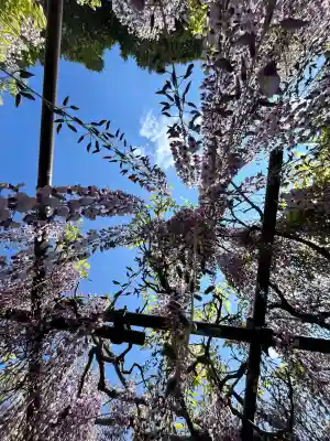 天台宗 五大山 白毫寺(兵庫県)